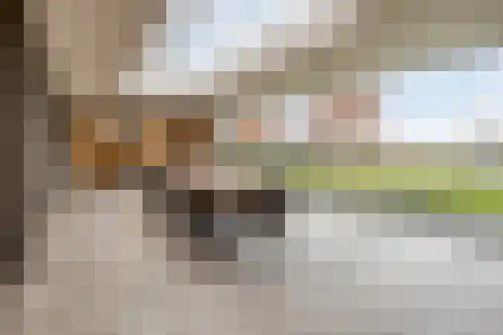 Voermanlaan 7 Posterholt thumbnail 36