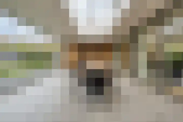 Voermanlaan 7 Posterholt thumbnail 37