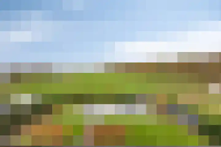 Voermanlaan 7 Posterholt thumbnail 43