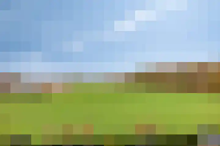 Voermanlaan 7 Posterholt thumbnail 44