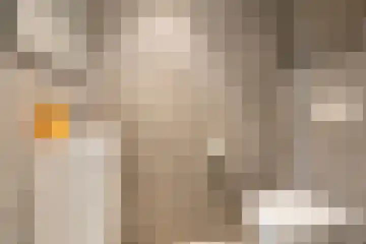 Voermanlaan 7 Posterholt thumbnail 7