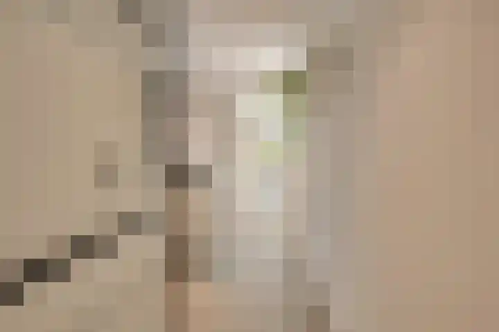 Voermanlaan 7 Posterholt thumbnail 8
