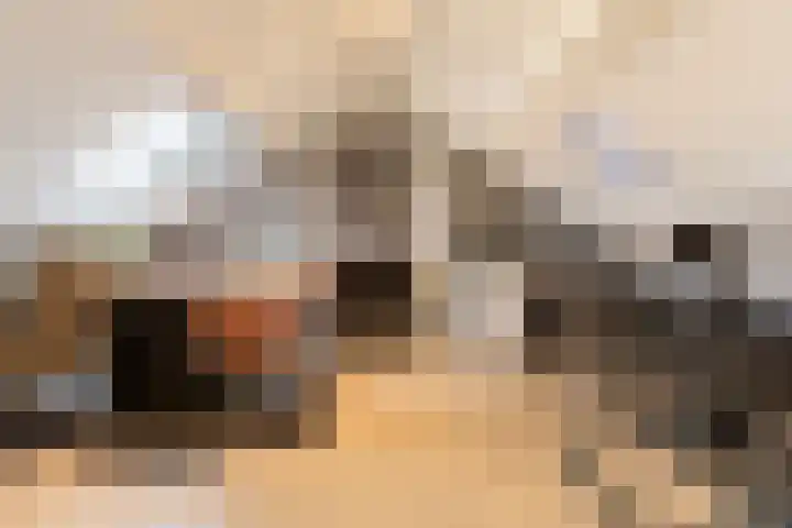 Voermansdreef 10 Apeldoorn thumbnail 28