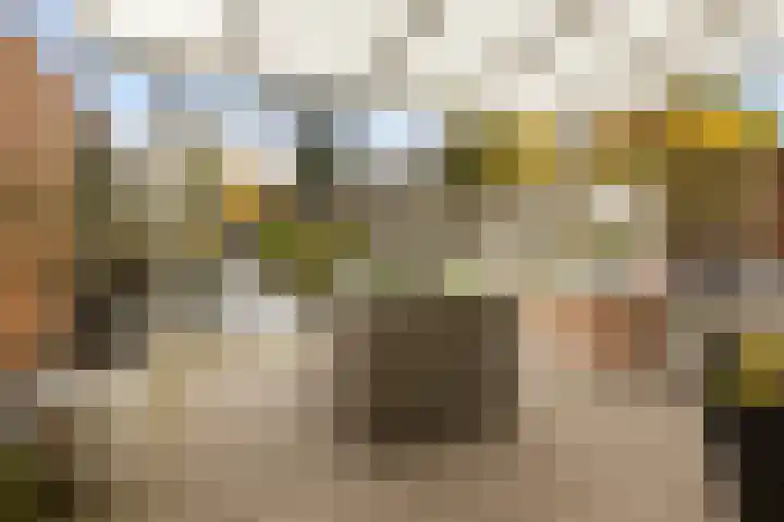 Voermansdreef 10 Apeldoorn thumbnail 33