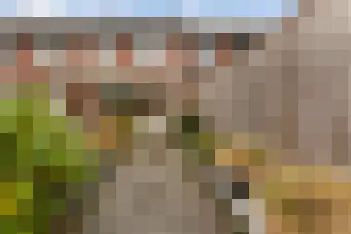 Voermansdreef 10 Apeldoorn thumbnail 34