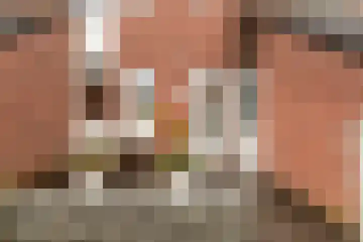 Voermansdreef 10 Apeldoorn thumbnail 37