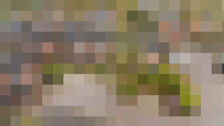 Voermansdreef 10 Apeldoorn thumbnail 41