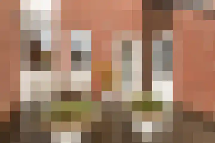 Voermansdreef 10 Apeldoorn thumbnail 5