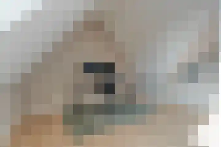 Voermanstraat 10 Hardenberg thumbnail 31