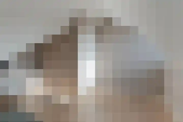 Voermanstraat 10 Hardenberg thumbnail 32