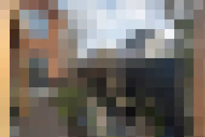 Voermanstraat 10 Hardenberg thumbnail 40
