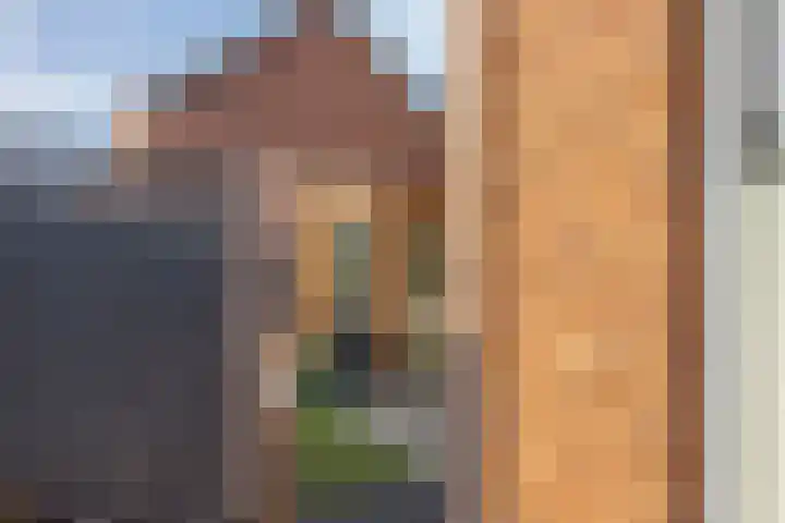 Voermanstraat 10 Hardenberg thumbnail 41