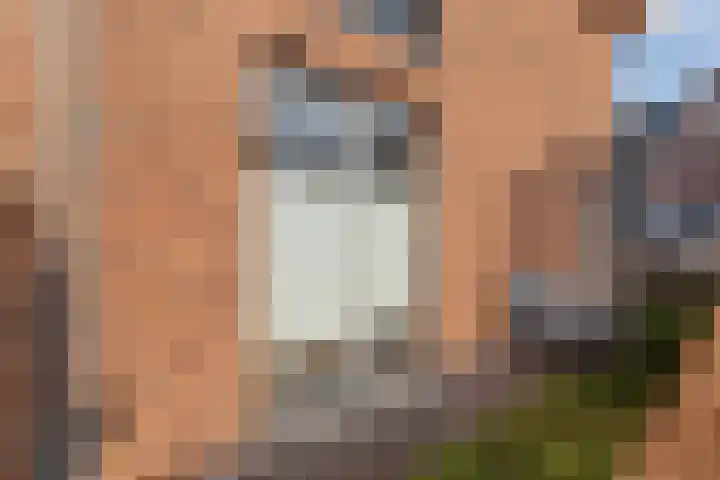 Voermanstraat 10 Hardenberg thumbnail 46