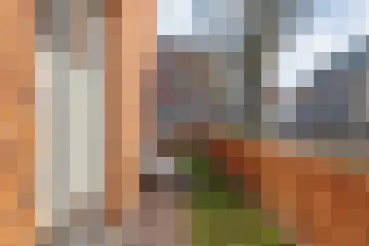 Voermanstraat 10 Hardenberg thumbnail 48