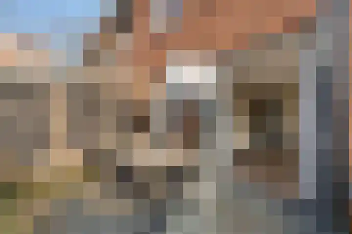 Voermanstraat 10 Hardenberg thumbnail 49