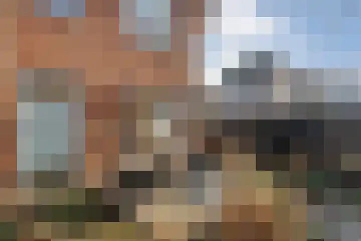 Voermanstraat 10 Hardenberg thumbnail 50