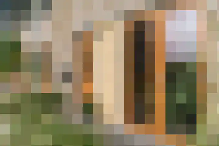Voermanstraat 102 Zwolle thumbnail 4