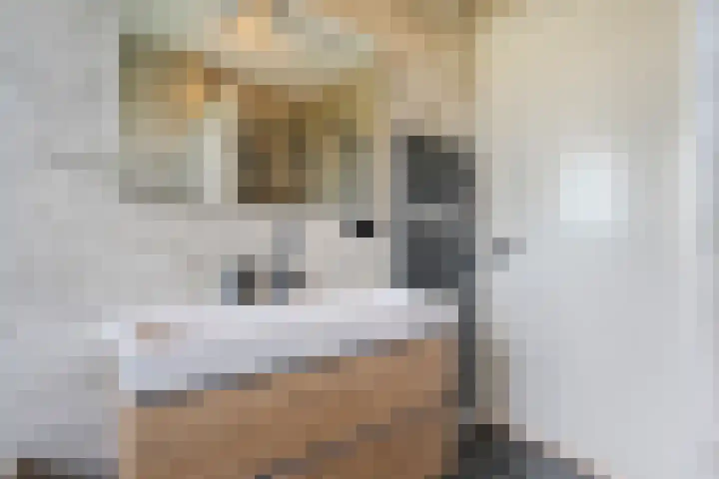 Voermanstraat 108 Zwolle thumbnail 34