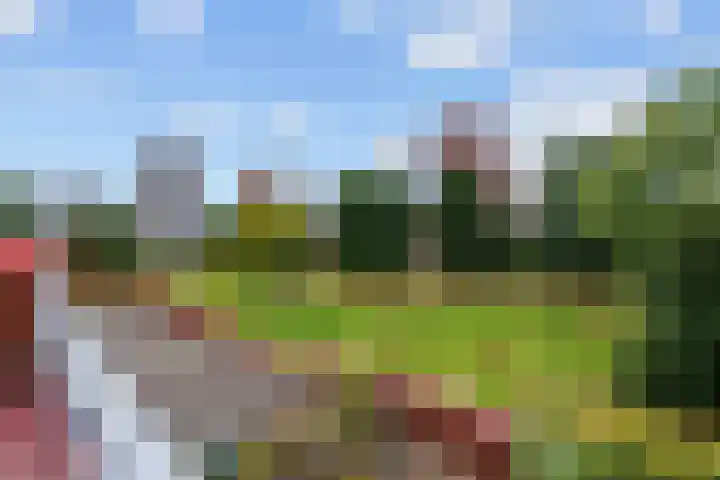 Voermanstraat 12 a Groningen thumbnail 41