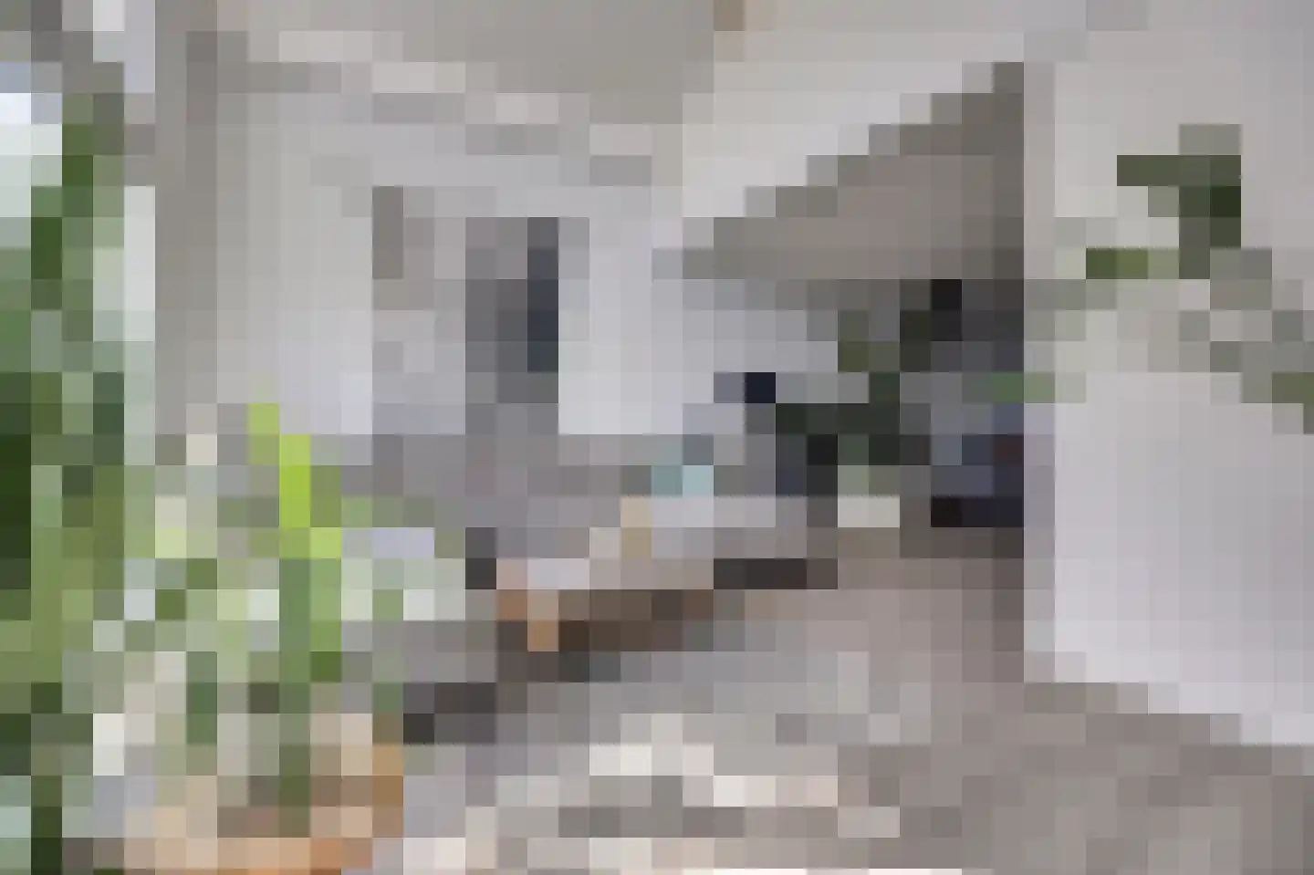 Voermanstraat 19 Zwolle thumbnail 13