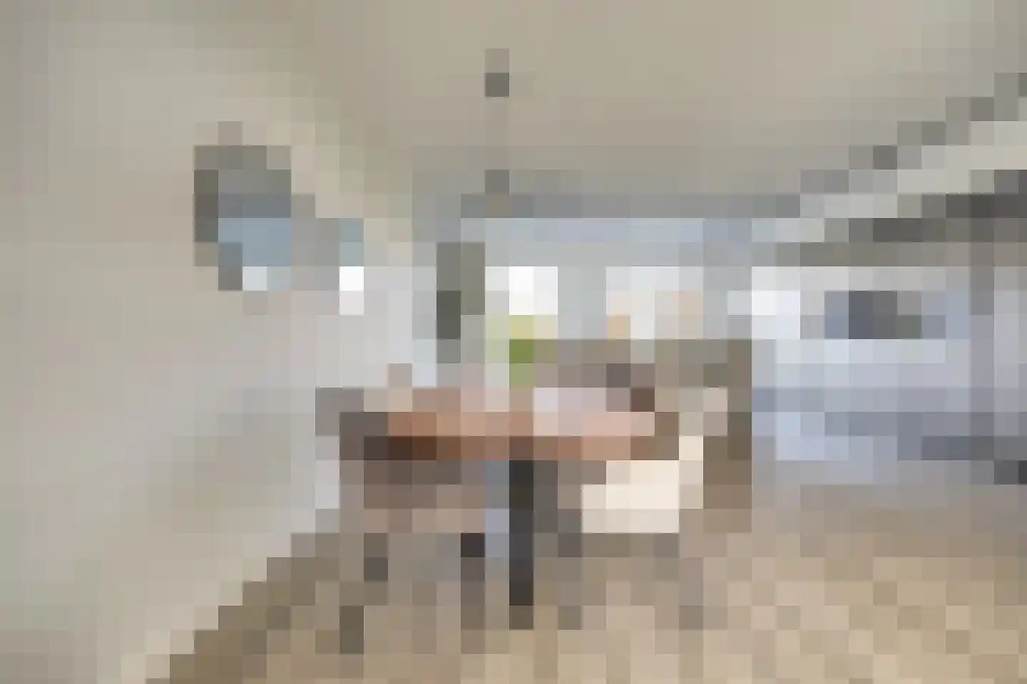 Voermanstraat 19 Zwolle thumbnail 17