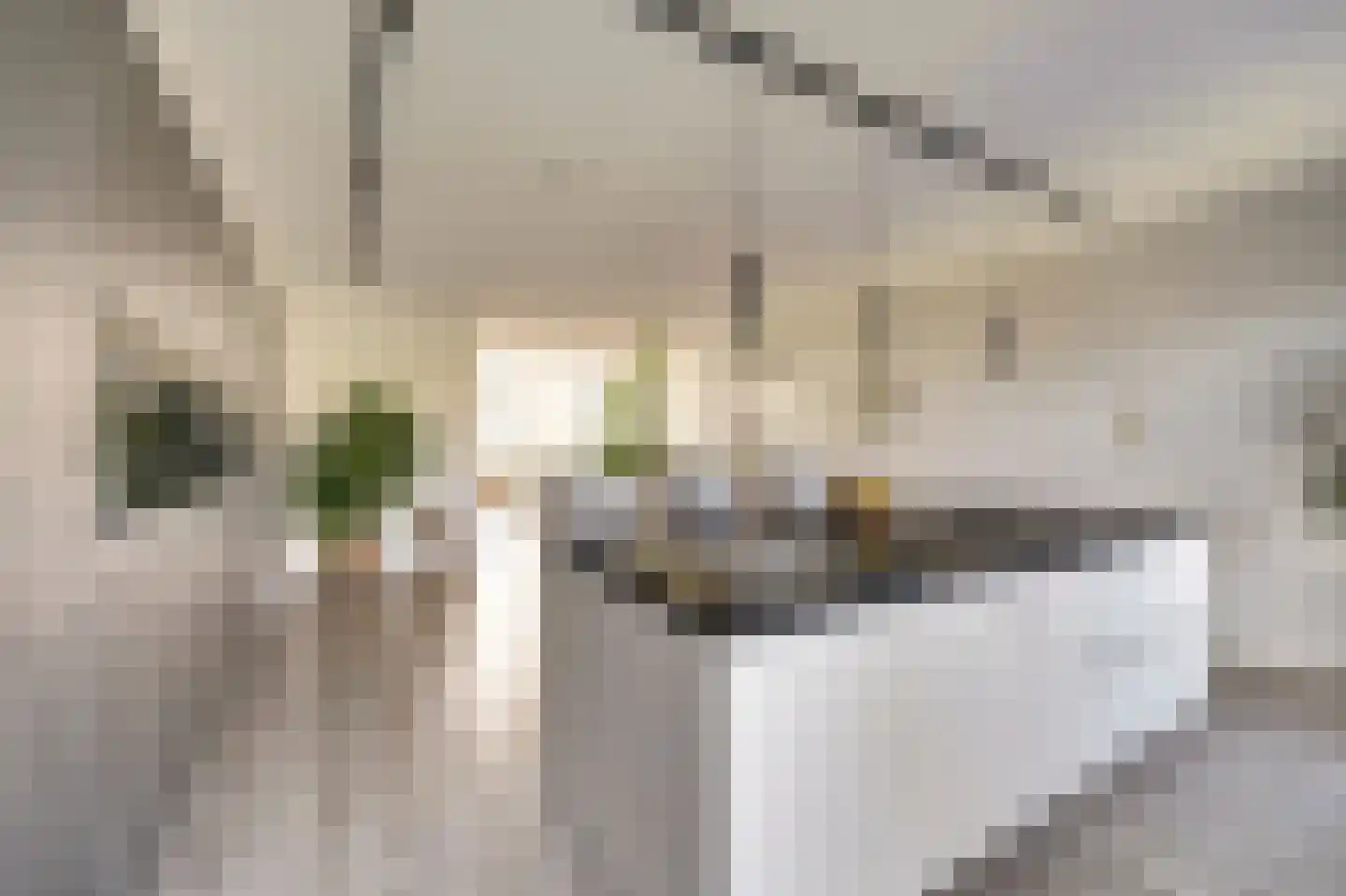 Voermanstraat 19 Zwolle thumbnail 20