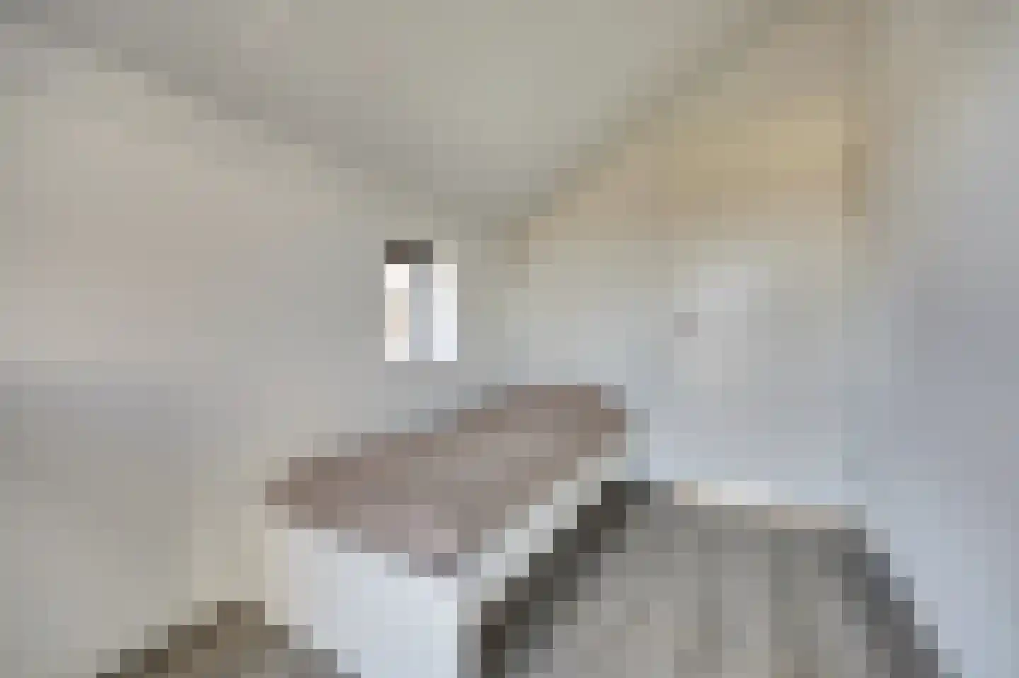 Voermanstraat 19 Zwolle thumbnail 37