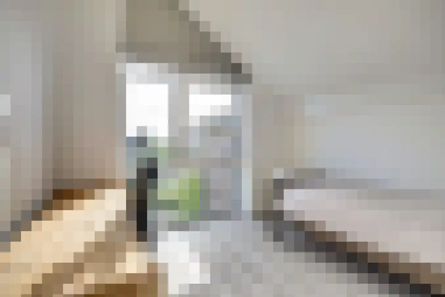 Voermanstraat 19 Zwolle thumbnail 38