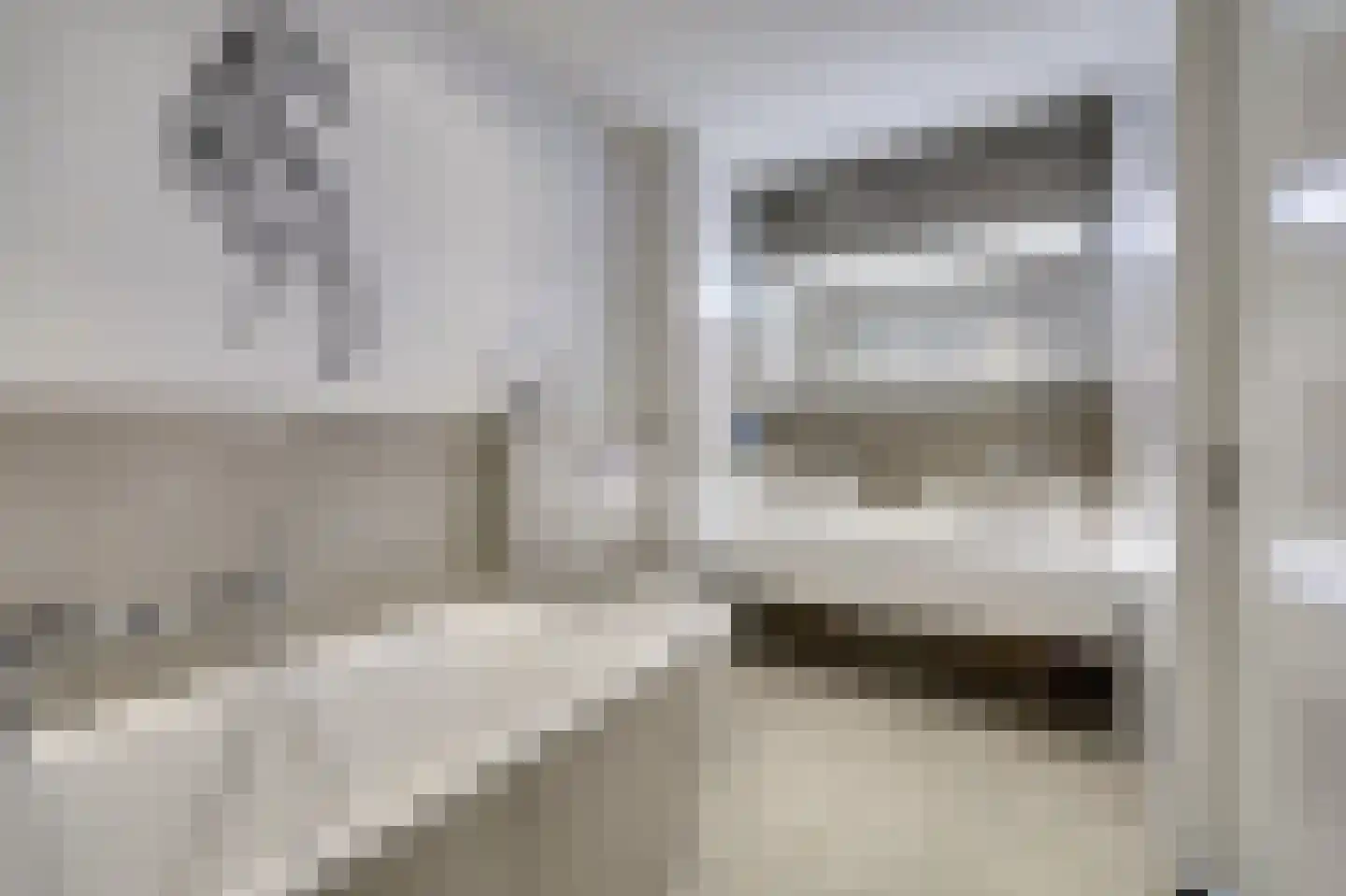 Voermanstraat 19 Zwolle thumbnail 4