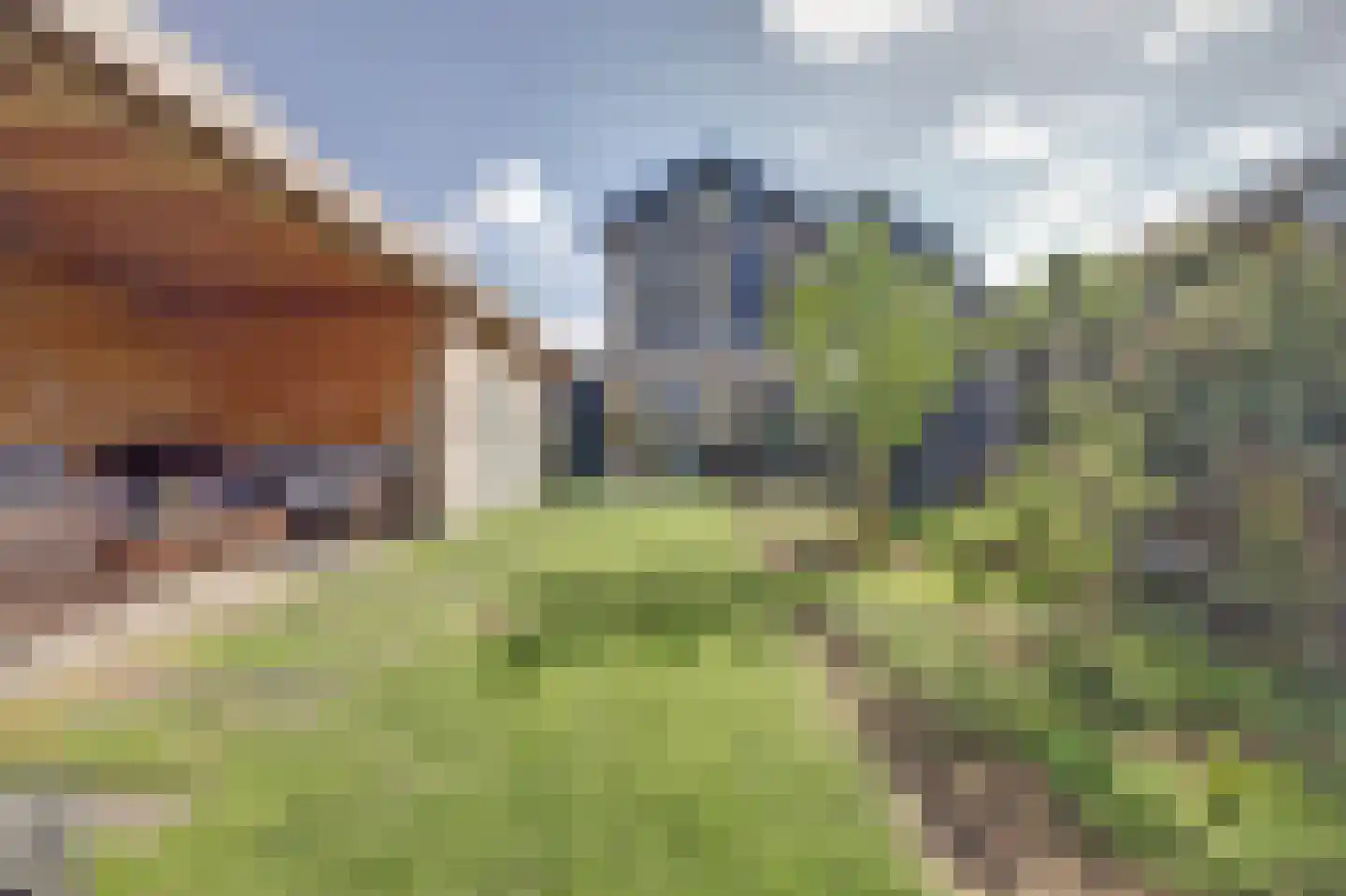 Voermanstraat 19 Zwolle thumbnail 5