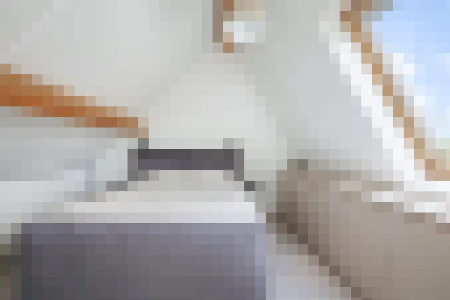 Voermanstraat 23 Twello thumbnail 22