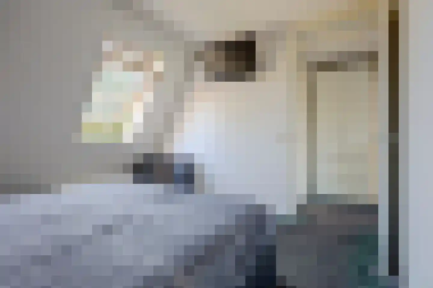 Voermanstraat 25 Twello thumbnail 16