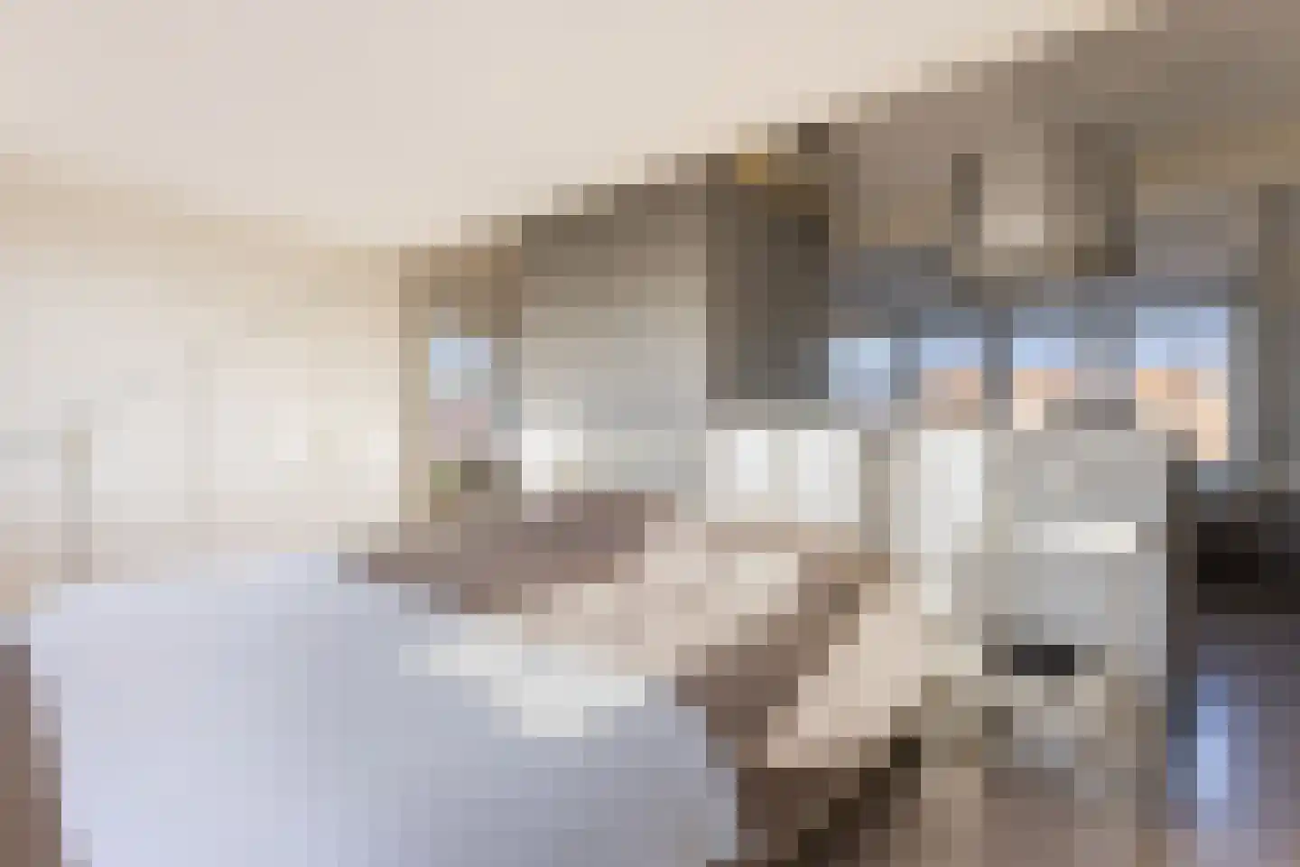 Voermanstraat 29 Arnhem thumbnail 31