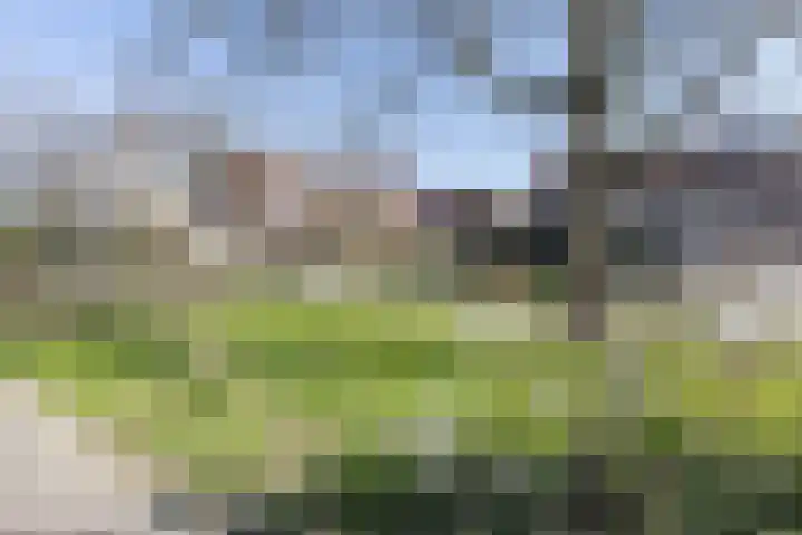 Voermanstraat 29 Arnhem thumbnail 42