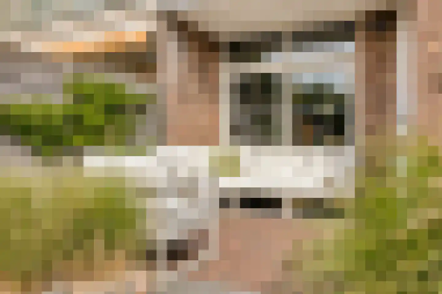 Voermanstraat 31 Arnhem thumbnail 12
