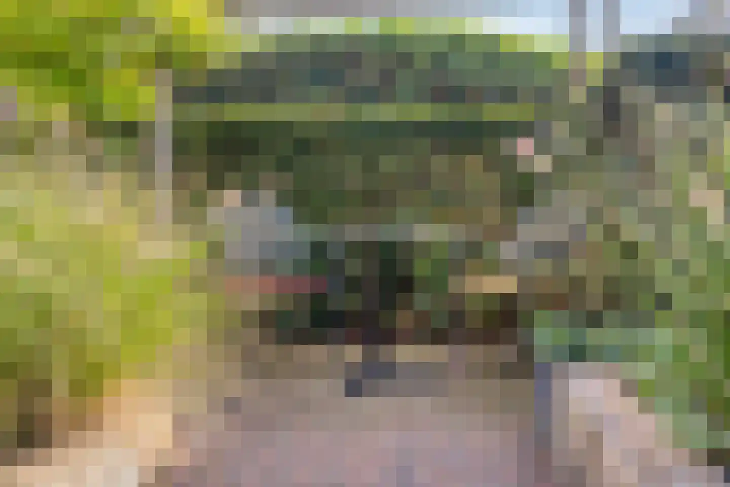 Voermanstraat 31 Arnhem thumbnail 16