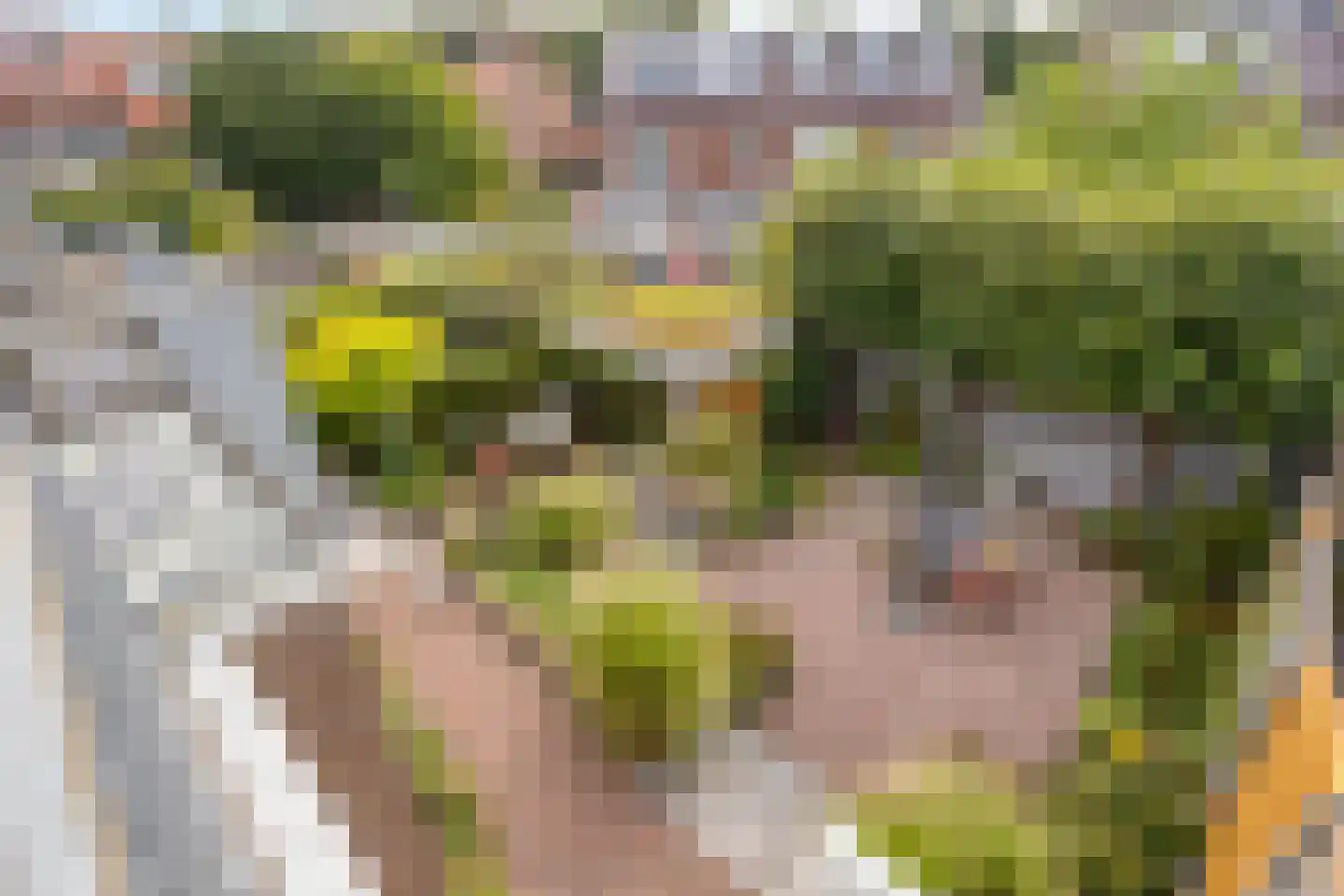 Voermanstraat 31 Arnhem thumbnail 37