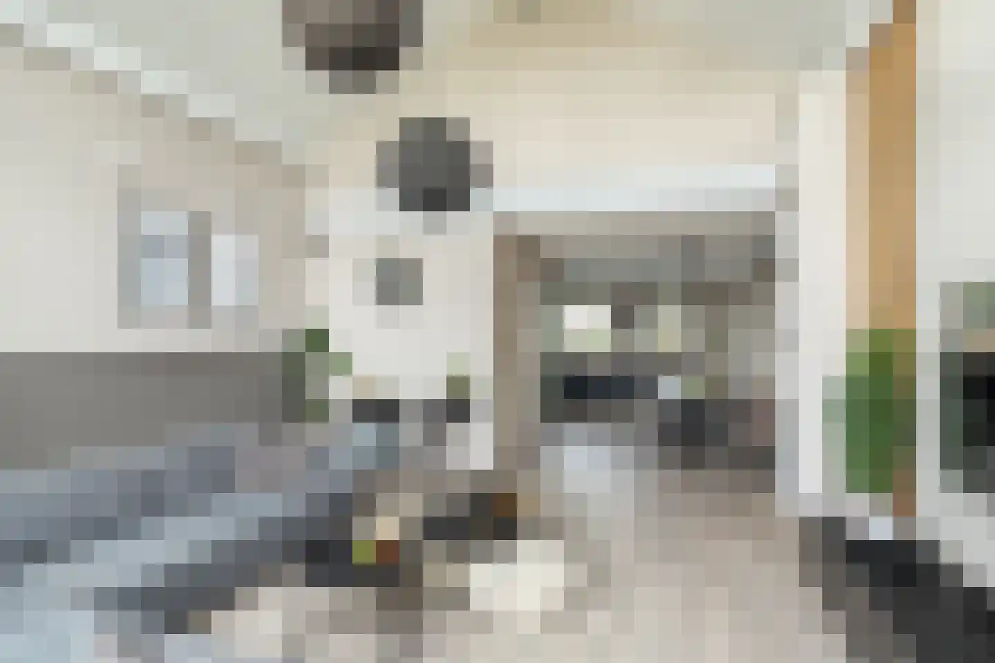 Voermanstraat 7 Zwolle thumbnail 12