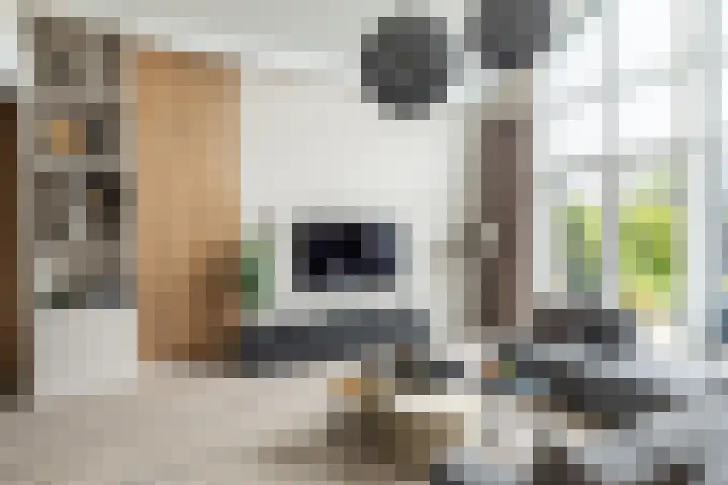 Voermanstraat 7 Zwolle thumbnail 14