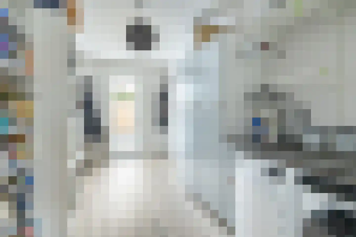 Voermanstraat 7 Zwolle thumbnail 21