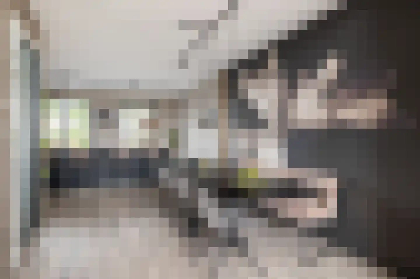 Voermanstraat 7 Zwolle thumbnail 4