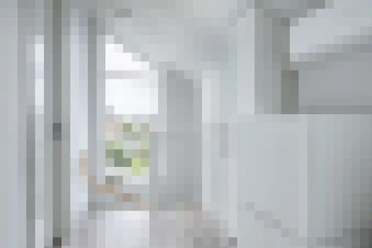 Voermanstraat 7 Zwolle thumbnail 40