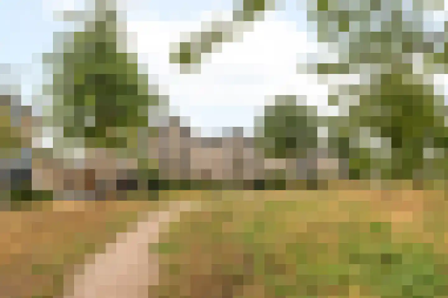 Voermanstraat 7 Zwolle thumbnail 47