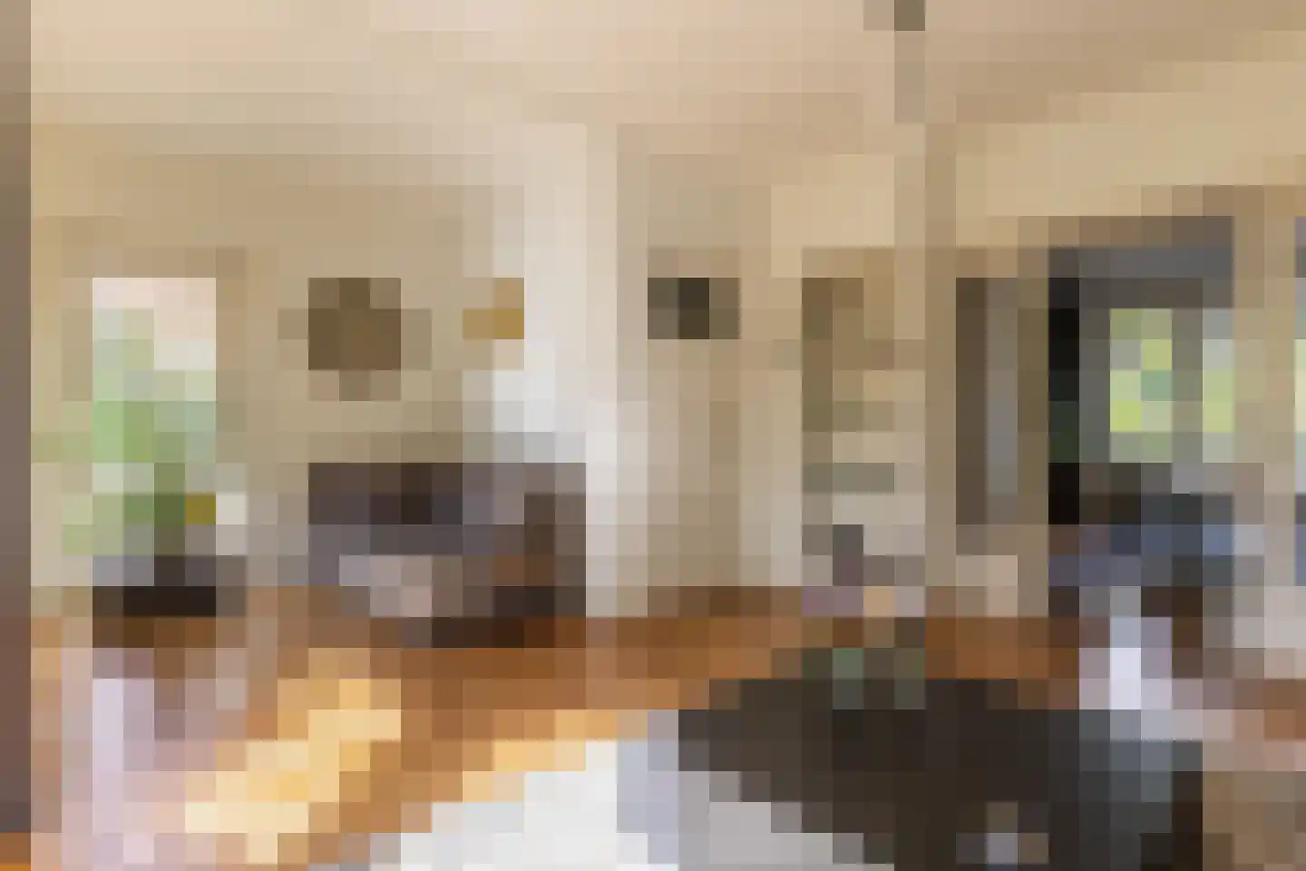 Voermanstraat 8 Arnhem thumbnail 13