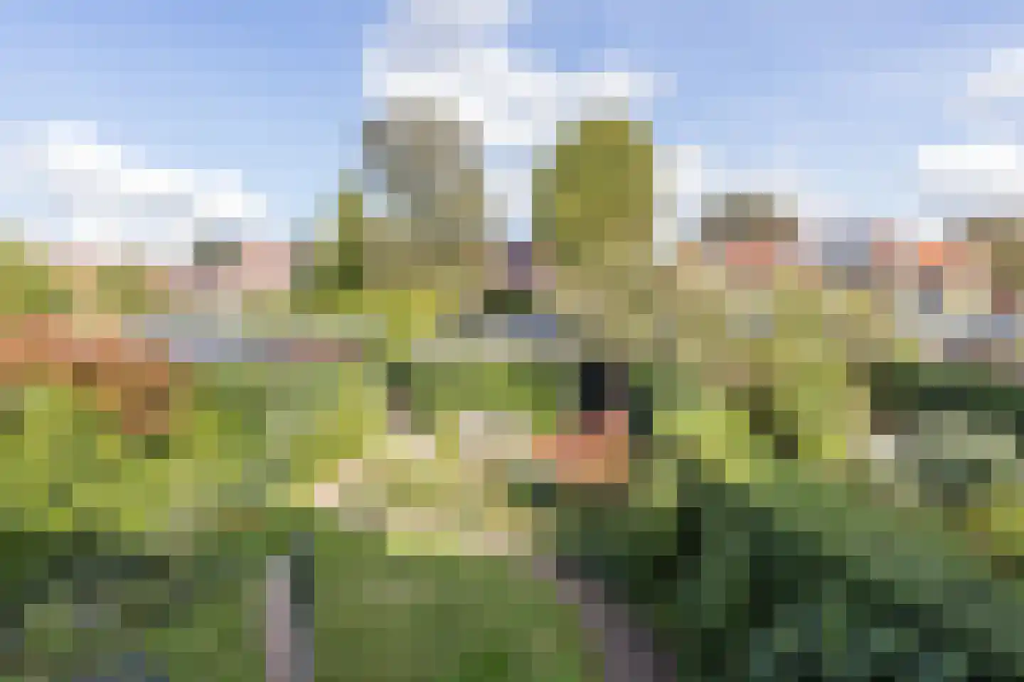 Voermanstraat 8 Arnhem thumbnail 27