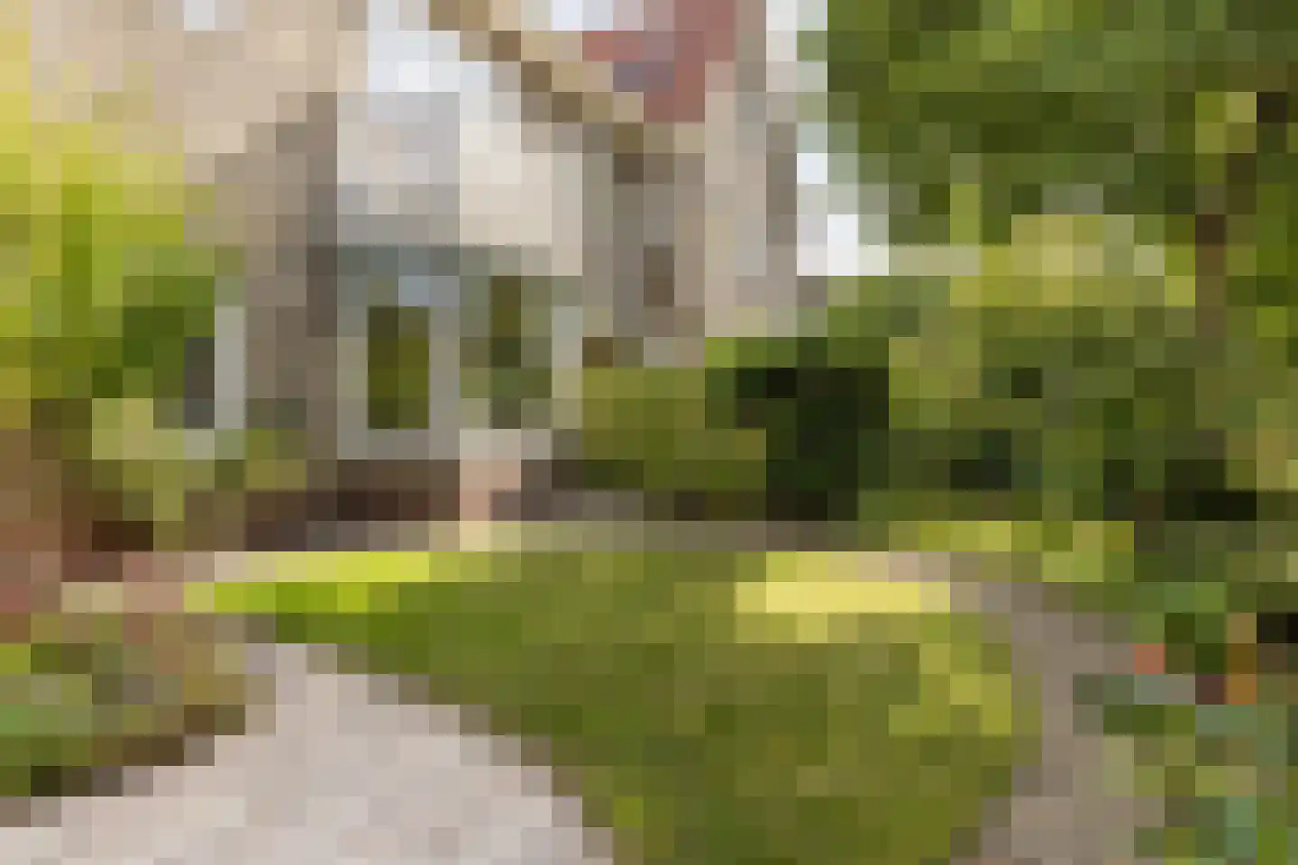 Voermanstraat 8 Arnhem thumbnail 4