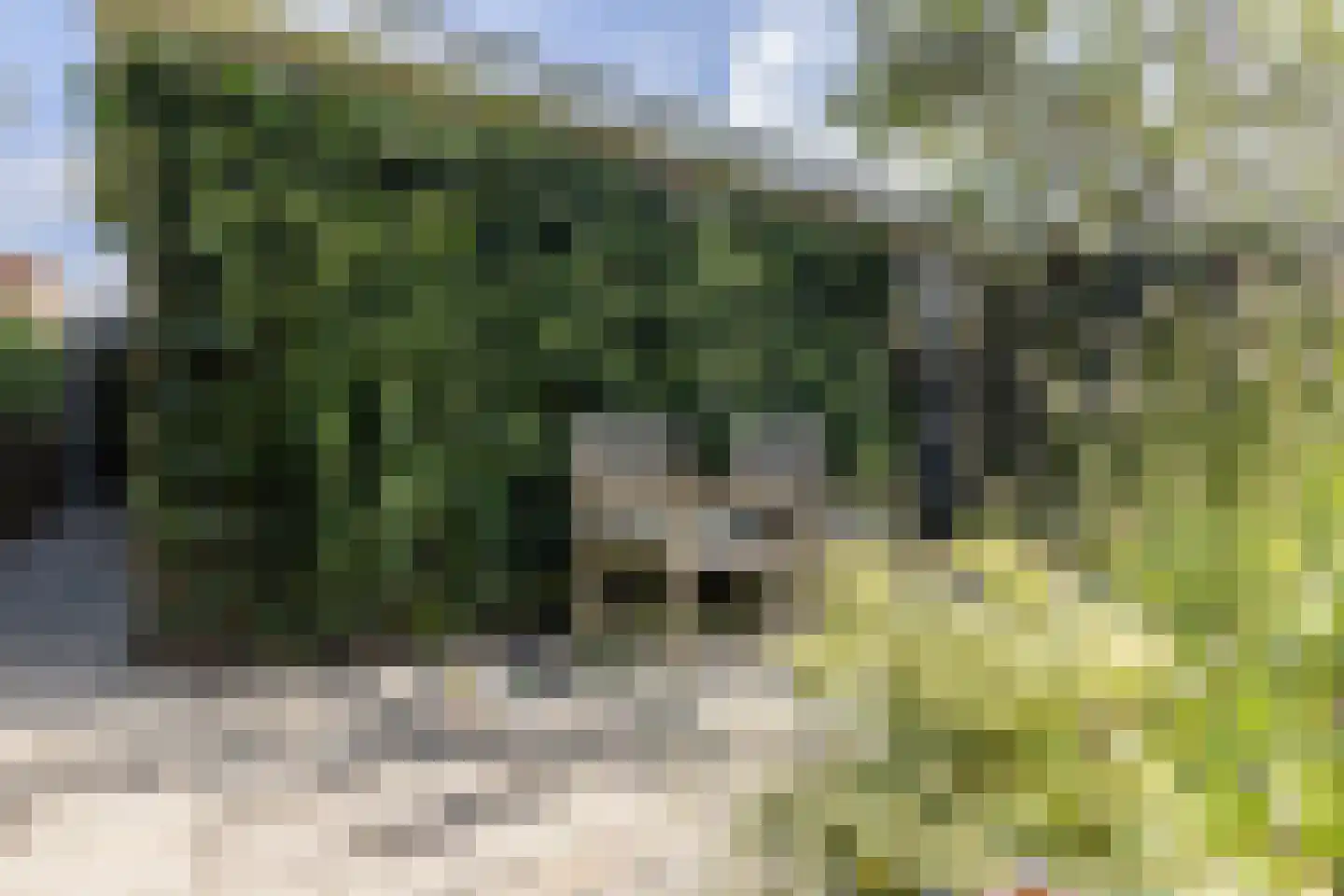 Voermanstraat 8 Arnhem thumbnail 45
