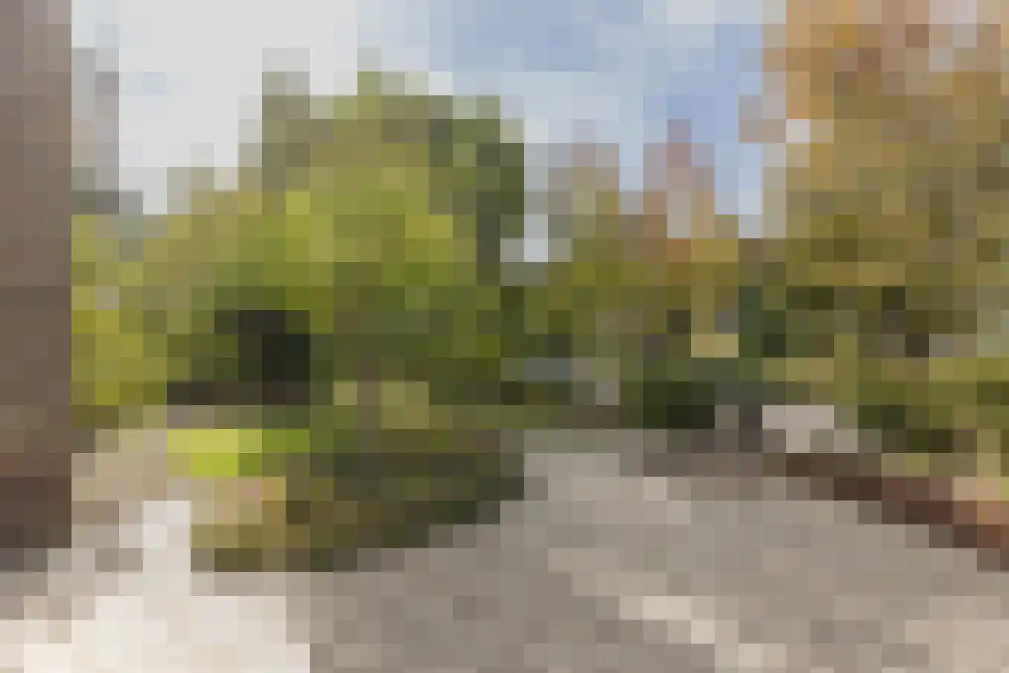 Voermanstraat 8 Arnhem thumbnail 48