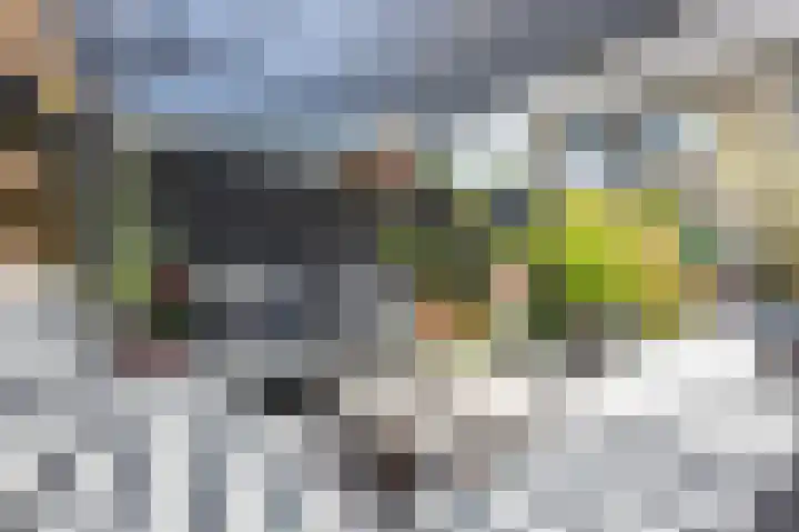 Voermanstraat 94 Zwolle thumbnail 48