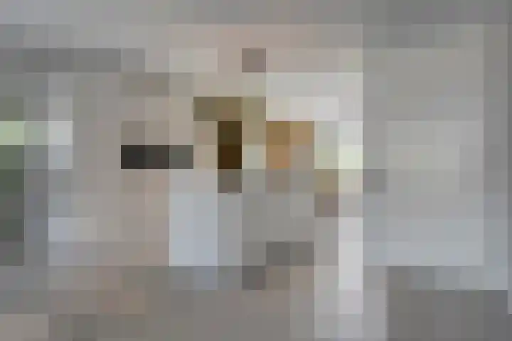 Voermanstraat 96 Zwolle thumbnail 10